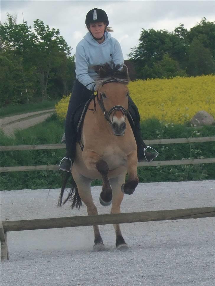 Anden særlig race Frede <3 Lånt Videre :/ - Fra maj måned <3 Vi sprang bare lidt hygge for at brænde lidt krudt af ! :P billede 16