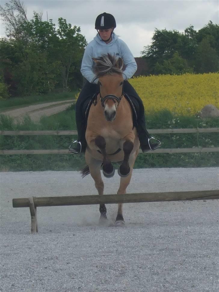 Anden særlig race Frede <3 Lånt Videre :/ - Elsker dig min pony ! Du er så smuk ! :P billede 17