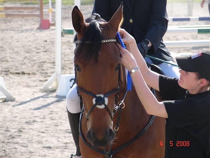 Anden særlig race Elton - elton drengen vandt en 2. plads :D <3 billede 9