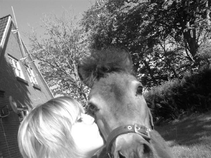 Miniature Hanibal *Lånt ud* - Jeg elsker Hanibal <3 !  billede 13