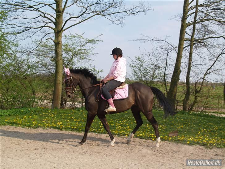 Anden særlig race Sonda Ferry - Fotograf: Anders billede 6