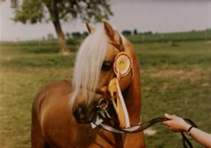 DSP Fredens banditta - Bandittas far.. han er smuk. billede 18