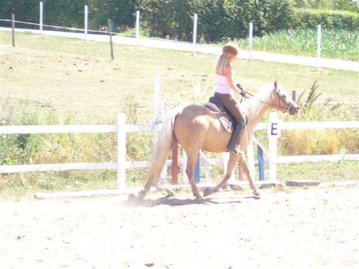 DSP Fredens banditta - undervisning her hjemme aug 2008 billede 19