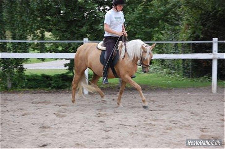 DSP Fredens banditta - sommer 2010 billede 20