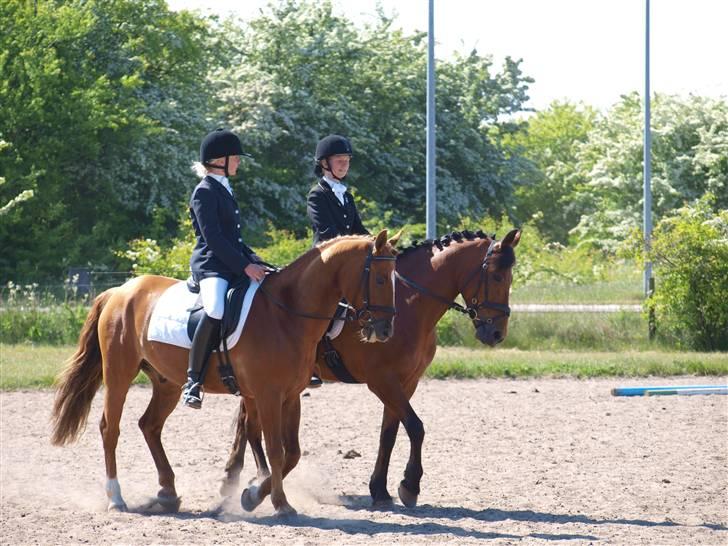 Anden særlig race Surprice - kæresterne <3, Søppe elsker Moonshine, han vrinsker altid efter hende når hun kommer, ægte kærlighed billede 13