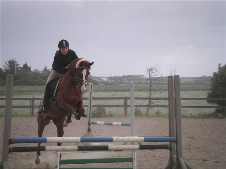Sportsaraber (A) min smukke Joy  pynter på himmelen nu - smukke. billede 15