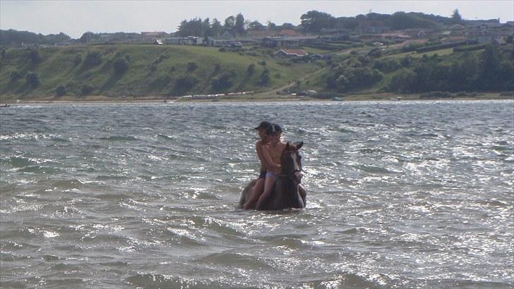 Sportsaraber (A) min smukke Joy  pynter på himmelen nu - en dag ved stranden 2010. billede 16
