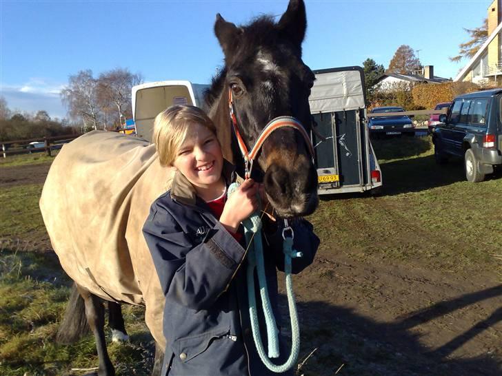 Connemara Illias R.I.P :'( billede 12