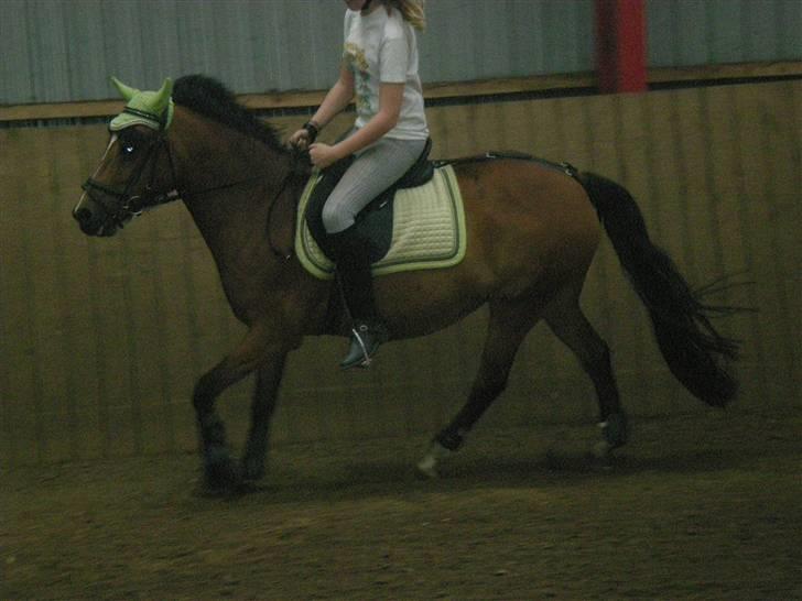 DSP »Lapaloma *gammel Part*<3 - Nu gider jeg altså ikke mere ;p <3 billede 3