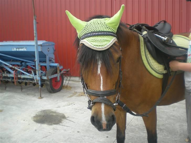 DSP »Lapaloma *gammel Part*<3 billede 6