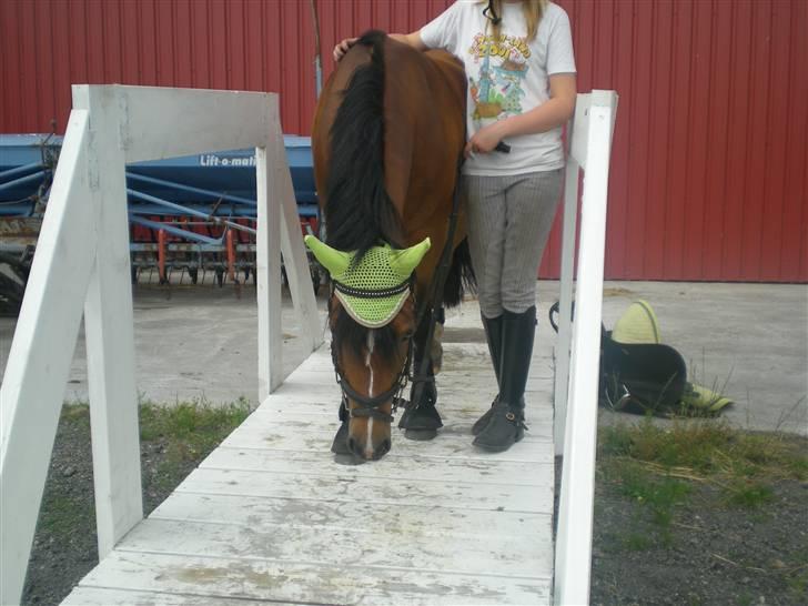 DSP »Lapaloma *gammel Part*<3 - Umm, jeg elsker rugbrød ;P billede 10