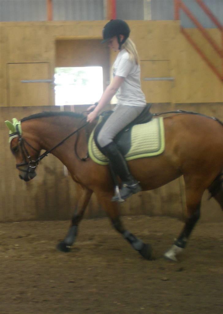 DSP »Lapaloma *gammel Part*<3 - Umm, kan man måske spise kameraet(:  billede 13