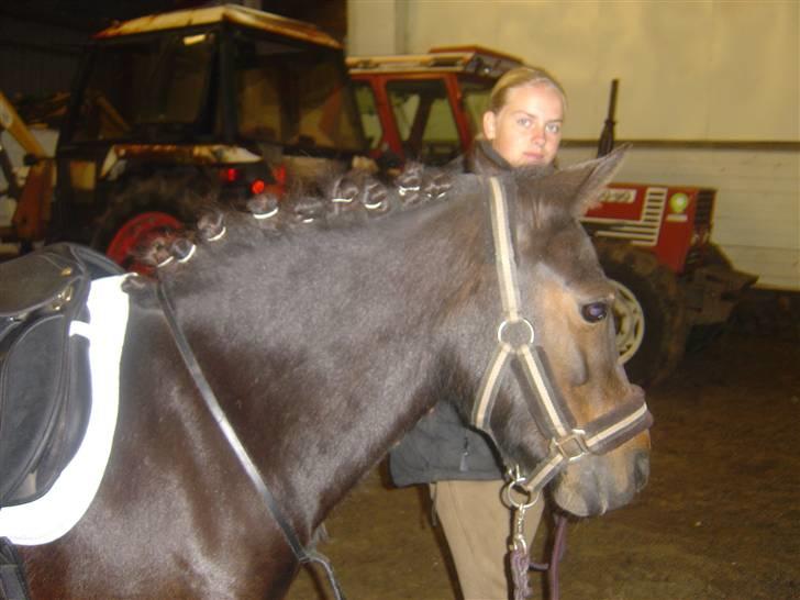 Anden særlig race mulan<3 - line holler mulan billede 3