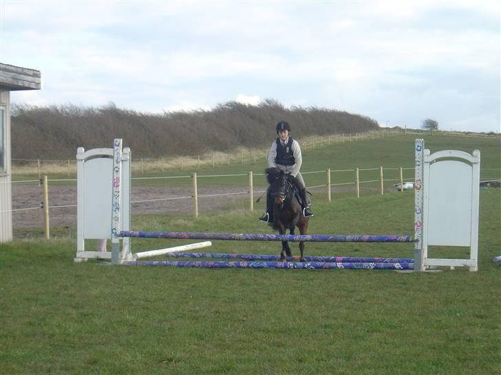 Anden særlig race mulan<3 - ved torben billede 4