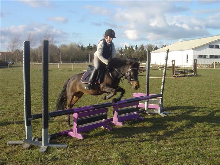 Anden særlig race mulan<3 - ved torben  billede 6