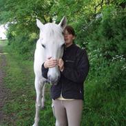 Knabstrupper Malaika