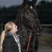 Trakehner Korinna Von C. R.I.P.