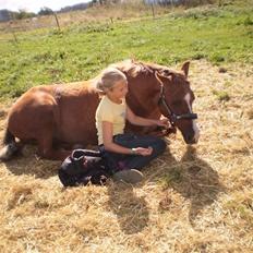Anden særlig race Tristan R.I.P.