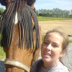 Dansk Varmblod Lucky