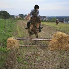 Anden særlig race Zimba / Rex