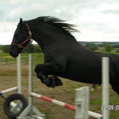 Frieser Joukje Oldaa J