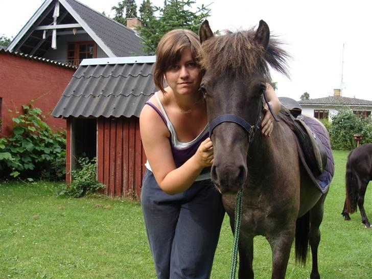 Islænder Sólon R.I.P <3 - Velkommen til Sólon´s Profil, Vi ville blive glade hvis i ville ligge en hilsen og en bedømmelse:)  billede 1