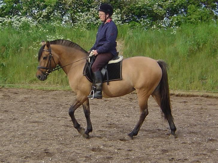 Anden særlig race Pepsi - Og så er der jo bare mig og Frøken Flot billede 8