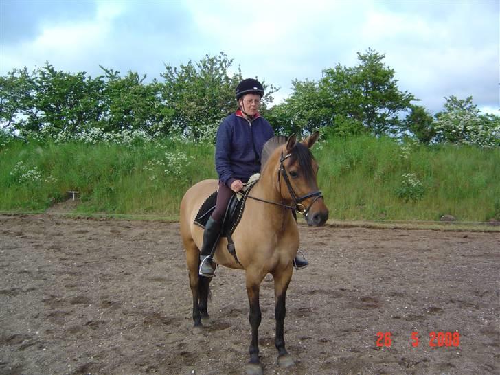 Anden særlig race Pepsi - Så køn er hun altså :-) billede 9