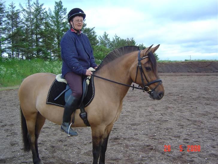 Anden særlig race Pepsi - Hva´ så der ?? billede 11