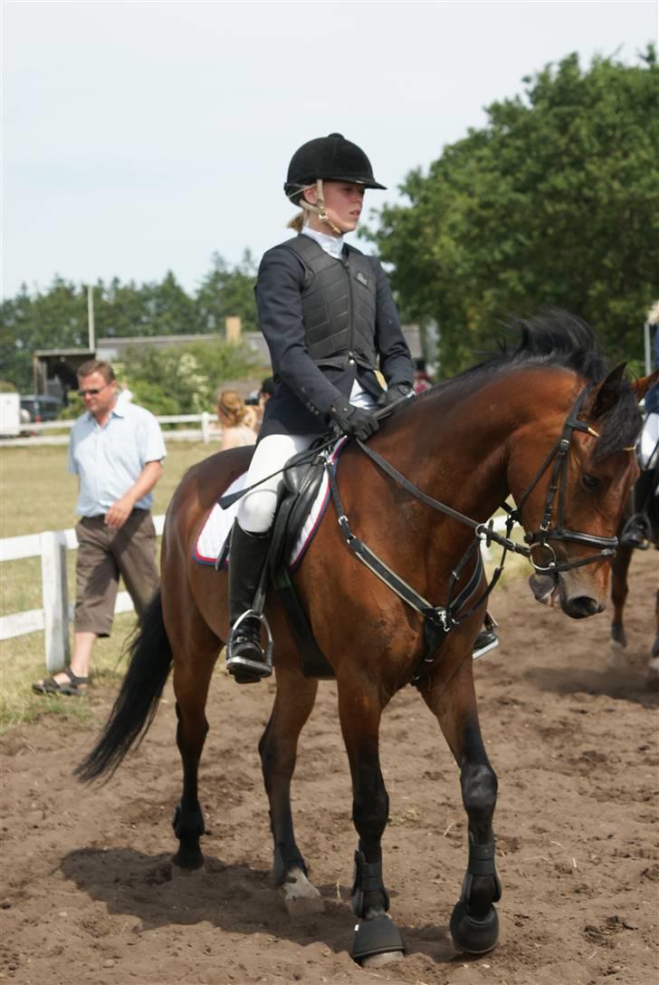 Belgisk Sportspony Hahiti (solgt) - Opvarmning Skive. Foto: Nadiiih billede 4