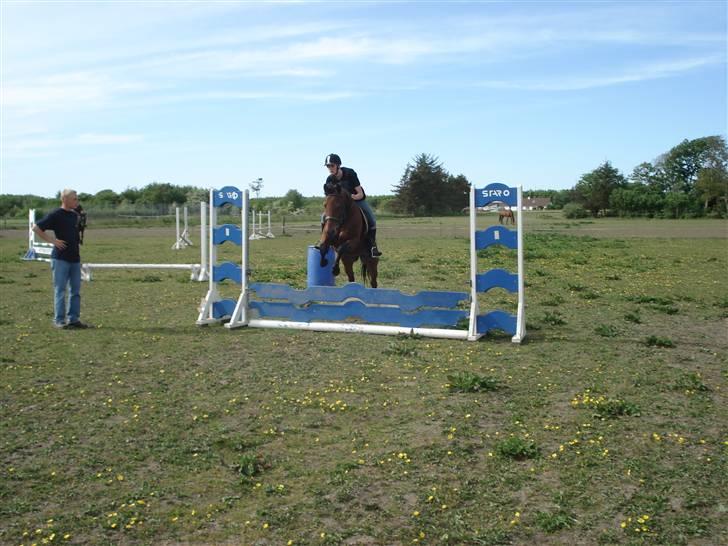 Traver Baron EK (s) solgt - Per&Baronen    Fotograf Sif billede 10