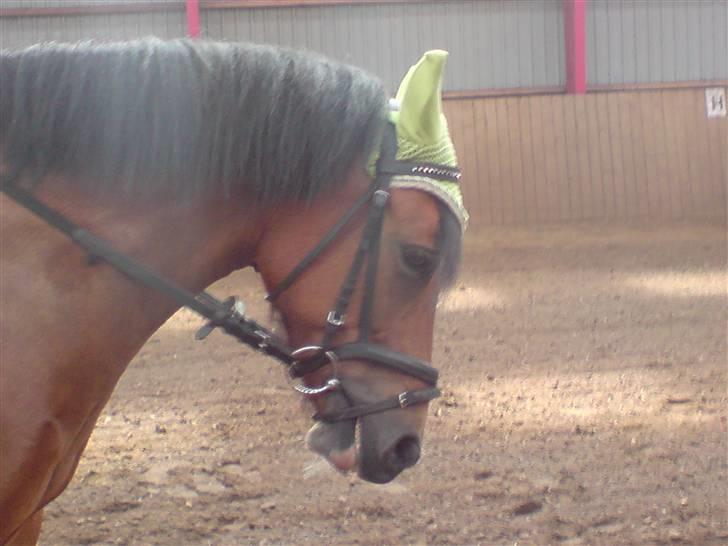 DSP »Lapaloma *gammel Part*<3 - Er vi ikk søde? :D billede 15