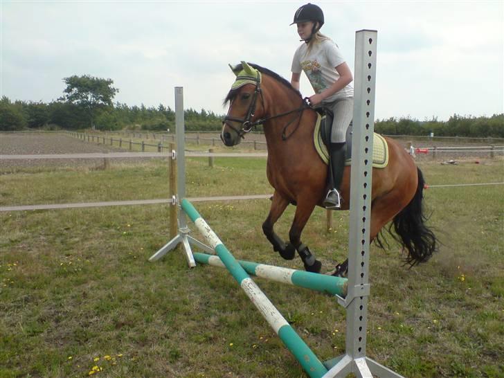 DSP »Lapaloma *gammel Part*<3 - Tak for besøget og på gensyn :D billede 17