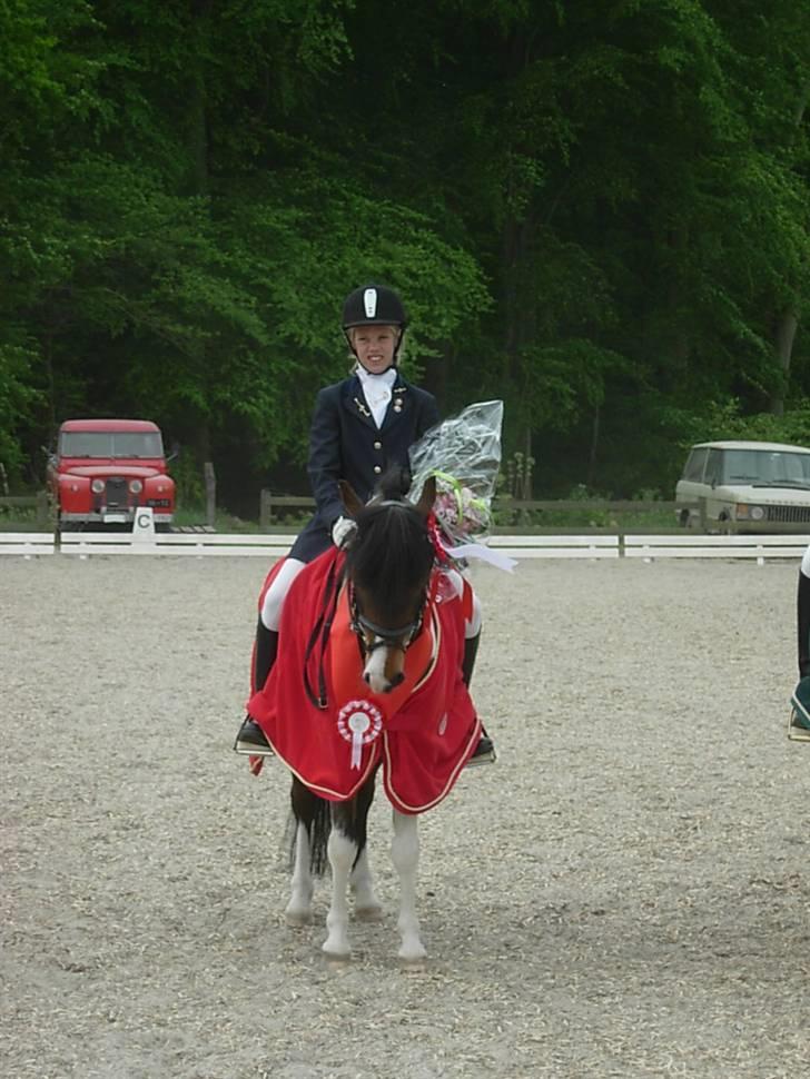 Anden særlig race Anton ( solgt) -  mig og anton blev Distriktsmester billede 13