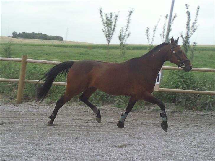 Traver Inus Hedebo(Fundet ;) - skat<3 (: foto ; mig,. billede 14
