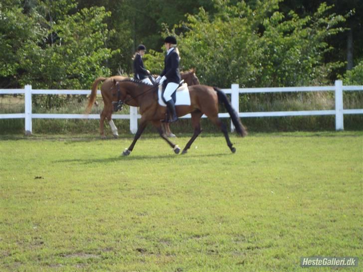 Traver Inus Hedebo(Fundet ;) - ;b  foto : anja billede 15