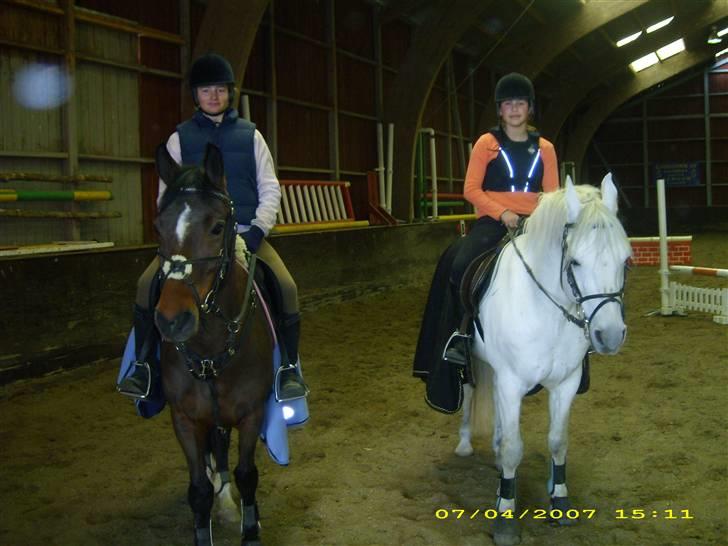 DSP Ginger Queen billede 17