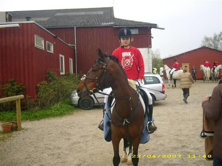 DSP Ginger Queen billede 18