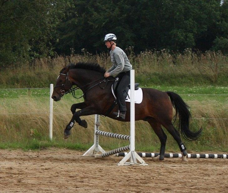 Oldenborg Rambo - 11.8.2009
Billedet er taget af Pelle - Mille S' kæreste! billede 16