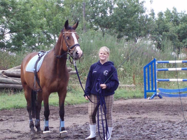 Dansk Varmblod Celina - Mig og dronningen efter en god gang longering <3 billede 16