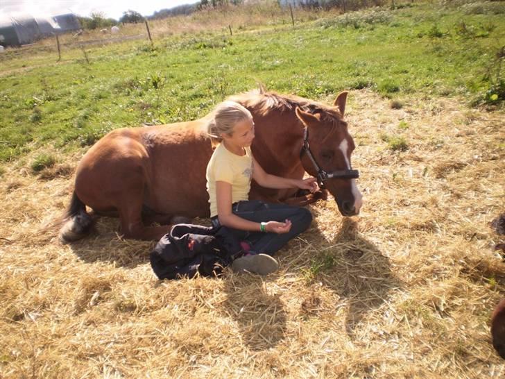 Anden særlig race Tristan R.I.P. - Tristan er lidt træt Billede: Louise Møller billede 2