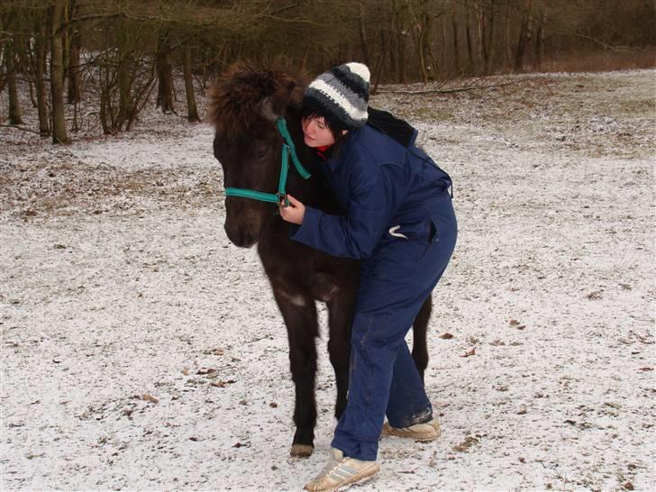 Islænder Sólon R.I.P <3 - Sólon & Pernille:) billede 7