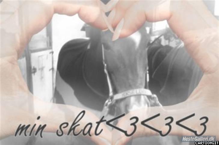 New Forest memory(gammel part) SAVN! - ida elsker mig !! billede 18