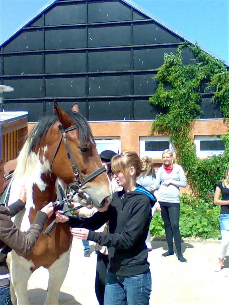 Anden særlig race Toffie SAVNER DIG :'( - Årh de bedste piger i verden kom med drengen inden jeg kørte hjem <3 Hold kæft hvor jeg græd og hulkede , d 28 Maj 2008 [Foto: Moar] billede 11