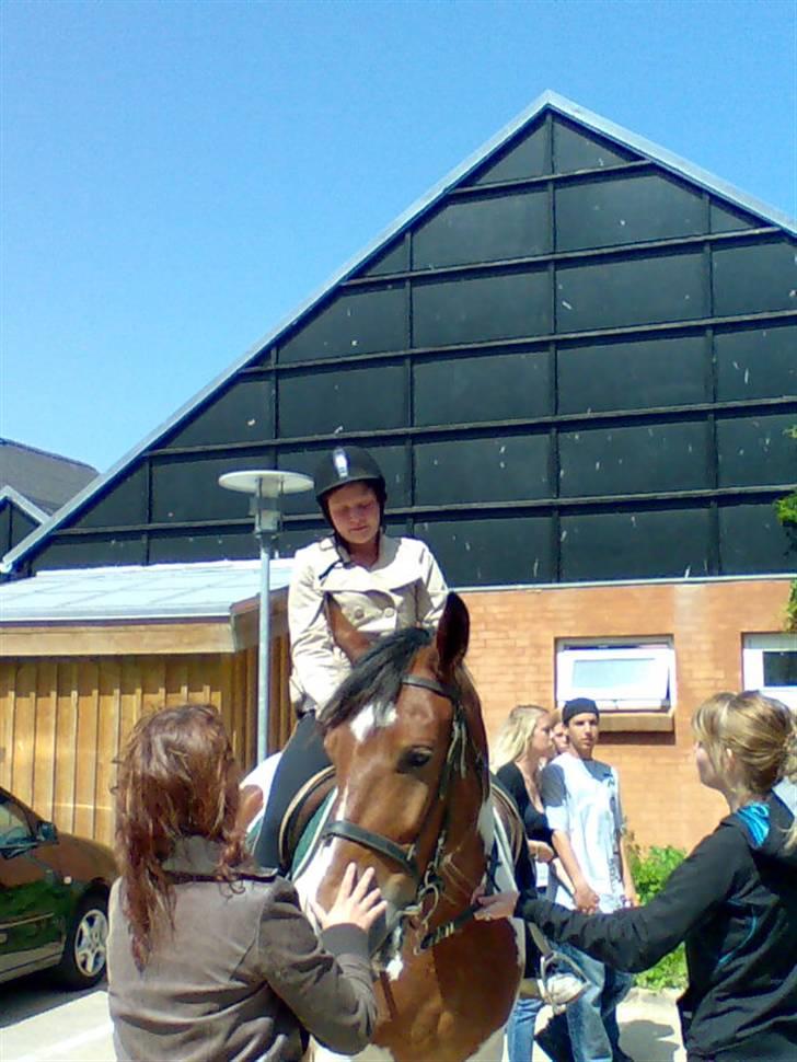 Anden særlig race Toffie SAVNER DIG :'( - Jeg er bare tudefærdig , puha hvor var det hårdt , og piger TAK FOR DET ! d 28 Maj 2008 [Foto: Moar] billede 12