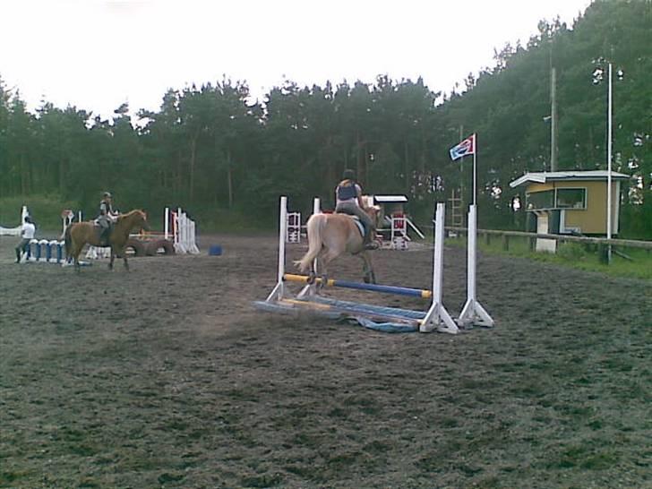 Haflinger sander (Gl. part) - vandgrav:D billede 18