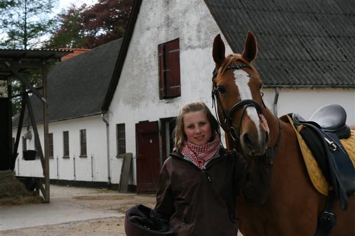 Dansk Varmblod FamieGirlR.I.P :'( <3! - Hvor er vi smukke ;P <3 elsker diig hop´se billede 16