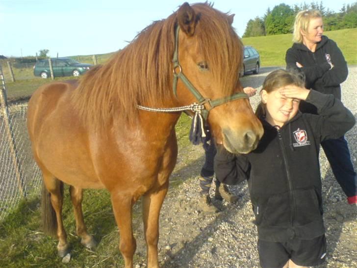 Islænder þalli fra Blochgaarden RIP - 28 maj 2008. - på besøg hos Palli. Efter 3 år i troen om af han var død, ser jeg ham igen. Grædefærdig indeni, men smilende {: billede 9