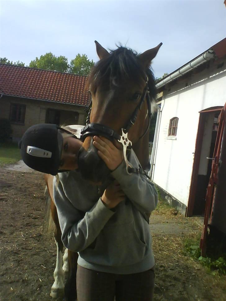 Pinto Joey * Gl. Part * <33 - Så kom der lige et kys :b   billede 9