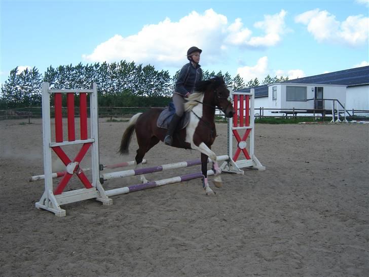 Anden særlig race Angel  Solgt til Emilie:D billede 16